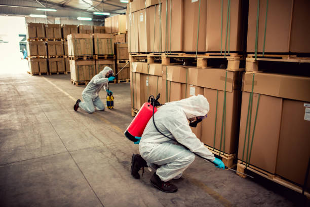 Best Fumigation Services  in Calcium, NY